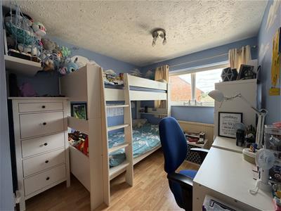 Picture 13